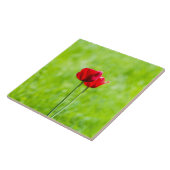 赤いチューリップの花2つ タイル (側面)