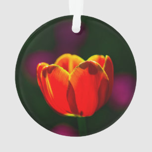 赤いチューリップの花 オーナメント