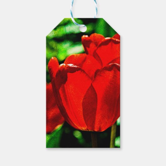 赤いチューリップの花 ギフトタグ (正面)