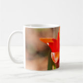 赤いチューリップの花 コーヒーマグカップ (左)