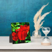 赤いチューリップの花 フォトプラーク (インサイチュ)