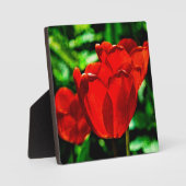 赤いチューリップの花 フォトプラーク (正面)