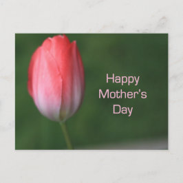 赤いチューリップの花、幸せな母の日 ポストカード