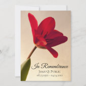 赤いチューリップの花 春の命の追悼記念 招待状 (正面)