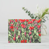 赤いチューリップカード (スタンド正面)