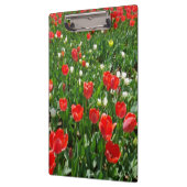 赤いチューリップフラワーフィールドの写真 クリップボード (左)