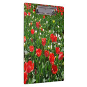 赤いチューリップフラワーフィールドの写真 クリップボード (右)