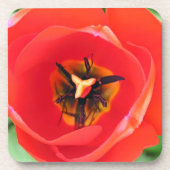 赤いチューリップフラワーマクロ写真セットの6 コースター (正面)