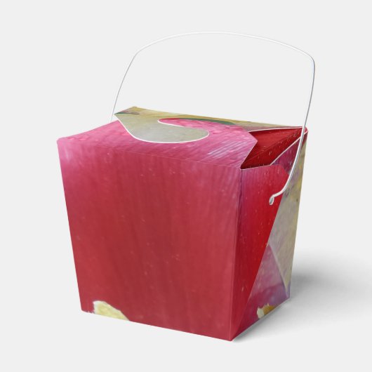 赤いチューリップフラワー取り出し特典ボックス フェイバーボックス (正面サイド)