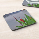 赤いチューリップブルーレイクアロードウォーター コースター (左側)