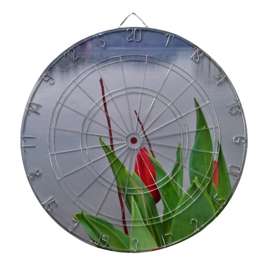 赤いチューリップブルーレイクアロードウォーター ダーツボード (正面)