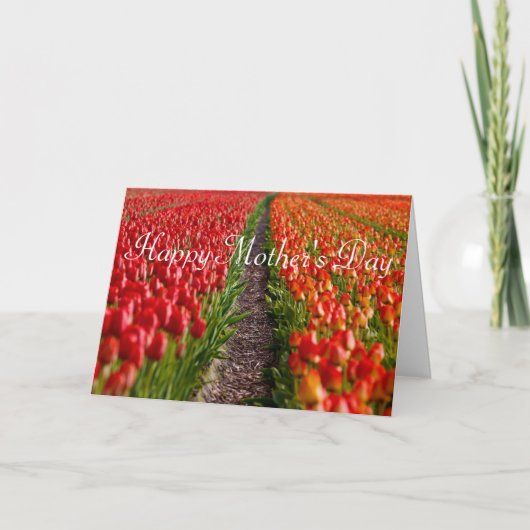 赤いチューリップ分野の母の日カード カード (正面)