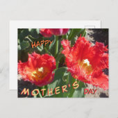 赤いチューリップ母の日はがき ポストカード (正面/裏面)