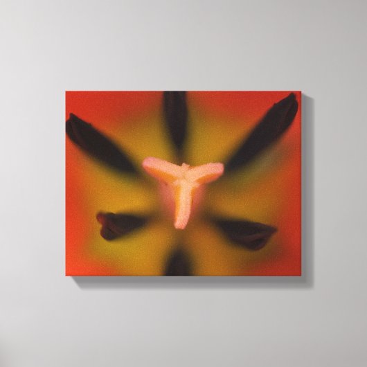 赤いチューリップ花クローズアップ キャンバスプリント (正面)