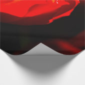 赤いチューリップ花 – 火 ラッピングペーパー (角)