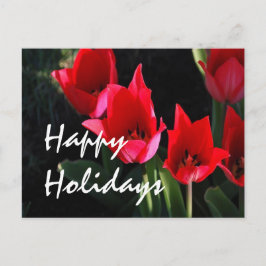 赤いチューリップ シーズンポストカード