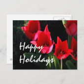 赤いチューリップ シーズンポストカード (正面/裏面)