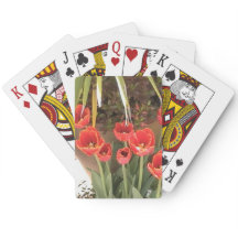 赤いチューリップ