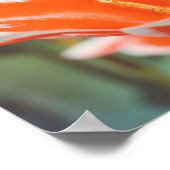 赤いチューリップ ポスター (角)