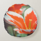 赤いチューリップ ラウンドクッション (正面)