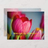赤いチューリップ・日付ポストカードの保存 案内ポストカード (正面/裏面)