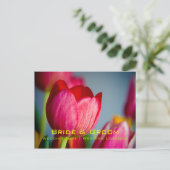 赤いチューリップ・日付ポストカードの保存 案内ポストカード (スタンド正面)