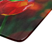 赤いチューリップ – 開花の謎 カッティングボード (角)
