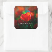 赤いチューリップ – 開花の謎 スクエアシール (バッグ)