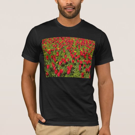 赤いチューリップ Tシャツ (正面)