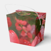 赤いチラシ取り出し特典ボックス フェイバーボックス (裏面サイド)