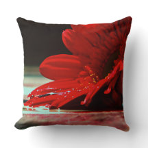 赤いデイジーのガーベラの花