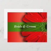 赤いデイジー日付の保存 案内ポストカード (正面/裏面)