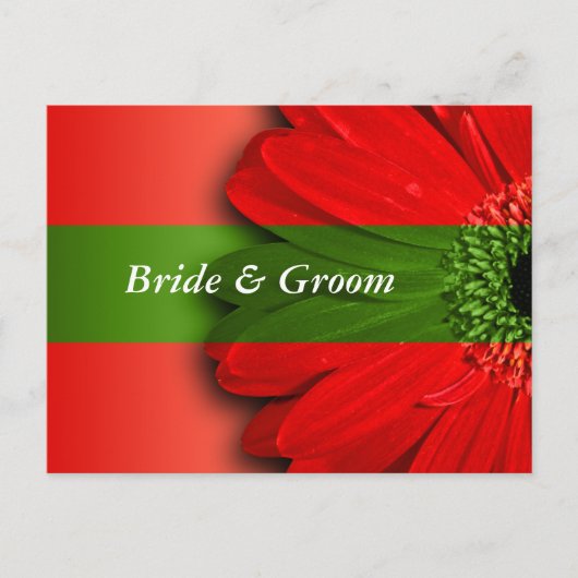 赤いデイジー日付の保存 案内ポストカード (正面)