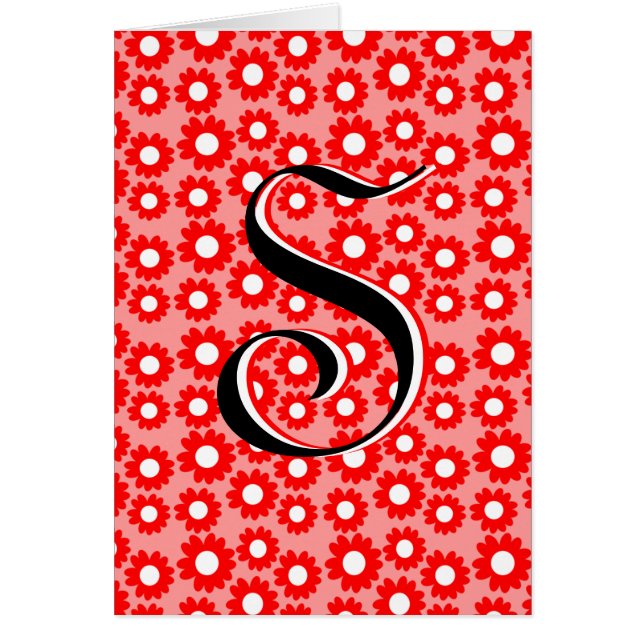 赤いデイジー (正面)