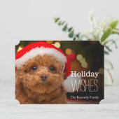 赤いトイプードルの終わり、 シーズンカード (スタンド正面)