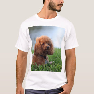 赤いトイプードルのTシャツ Tシャツ