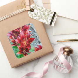 赤いトウガラユリ花、カナダ写真 スクエアシール