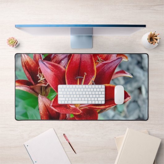 赤いトウガラユリ花、カナダ写真 デスクマット (オフィス1)