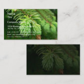 赤いトウヒの芽 名刺 (正面/裏面)