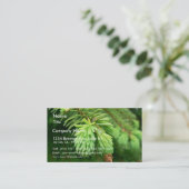 赤いトウヒの芽 名刺 (スタンド正面)