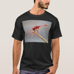 赤いトンボ5 Tシャツ