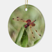 赤いトンボ セラミックオーナメント (左)