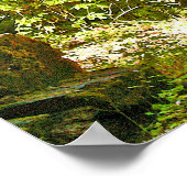 赤いドッグウッド ポスター (角)