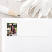 赤いドバーマン ラベル (インサイチュ)