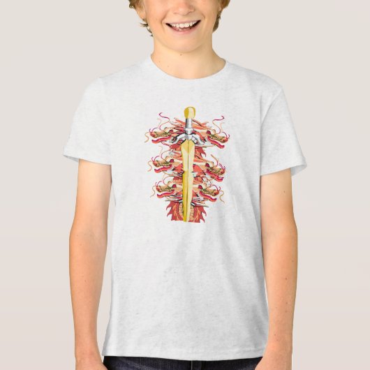 赤いドラゴンと金の剣 トライブレンドＴシャツ (正面)