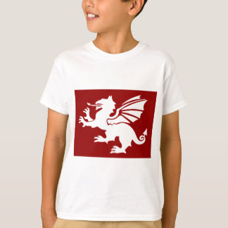 赤いドラゴン Tシャツ