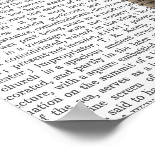 赤いドレスの猫 ポスター (角)