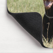 赤いドーベルマン犬のマウスパッド マウスパッド (コーナー)