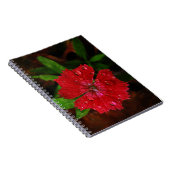 赤いナデシコの花の写真の美しい雨滴 ノートブック (右側)