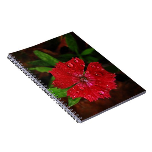 赤いナデシコの花の写真の美しい雨滴 ノートブック (右側)